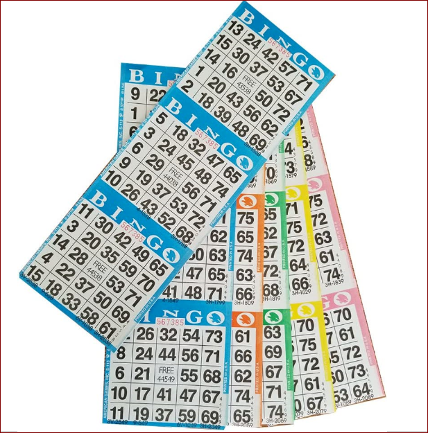 Bingo Paper Game Cards 3 on 5 sheets 100 Books